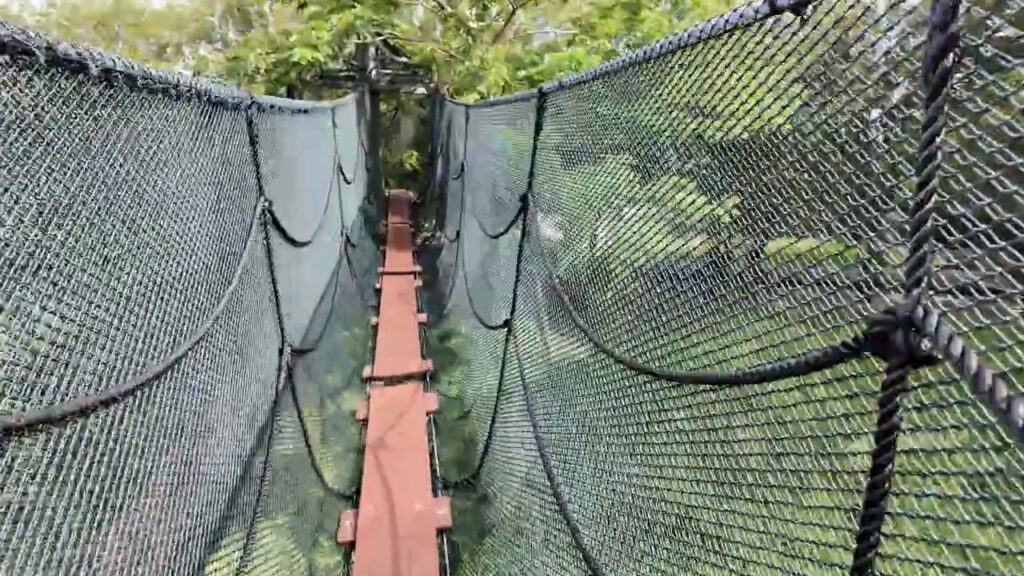 Rope net bridge in the maze park at the tin dredge