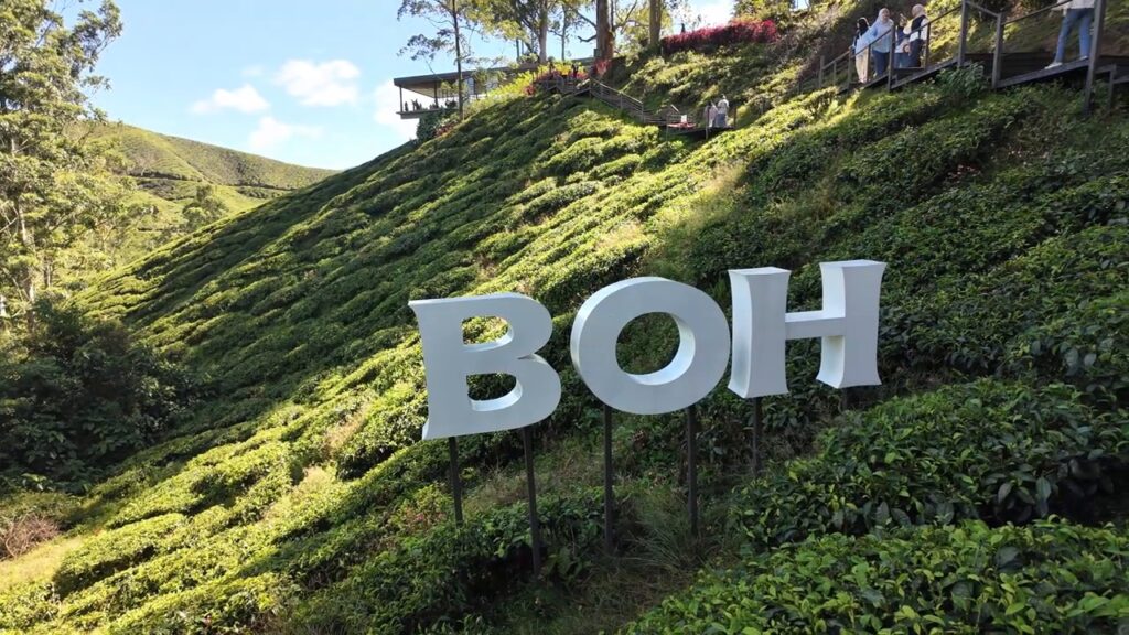 BOH sign on a tea-covered hillside in the Cameron Highlands