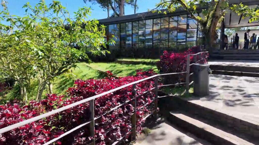 BOH Tea Centre building and gardens